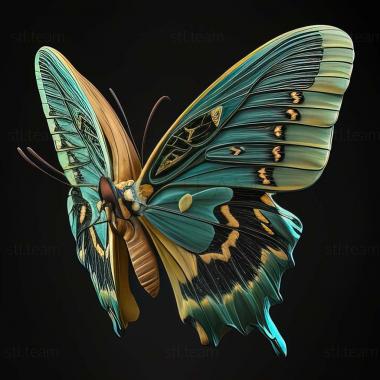 3D модель Ornithoptera эуфорион (STL)